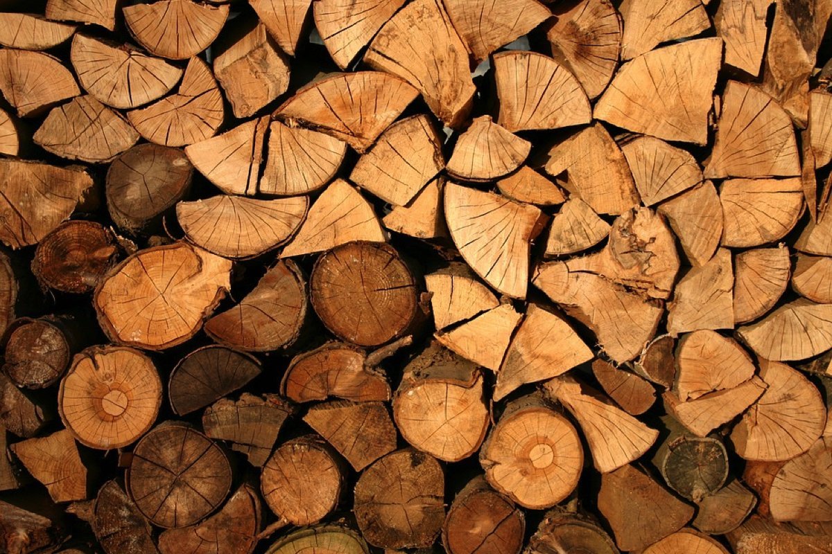 Bloemlezing niet verwant Luidruchtig Wat zijn de kosten van een kuub hout?